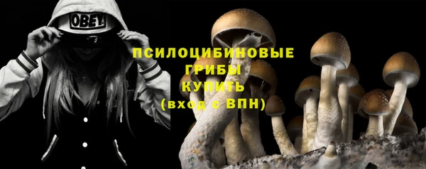 apvp Алексин