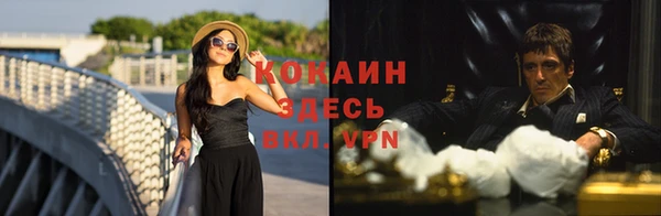 apvp Алексин