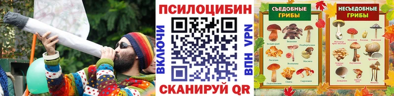 Галлюциногенные грибы GOLDEN TEACHER  магазин  наркотиков  Красногорск 