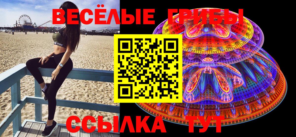 Галлюциногенные грибы мицелий  Вход с VPN  как найти закладки  Псилоцибиновые грибы Cubensis  Красногорск 